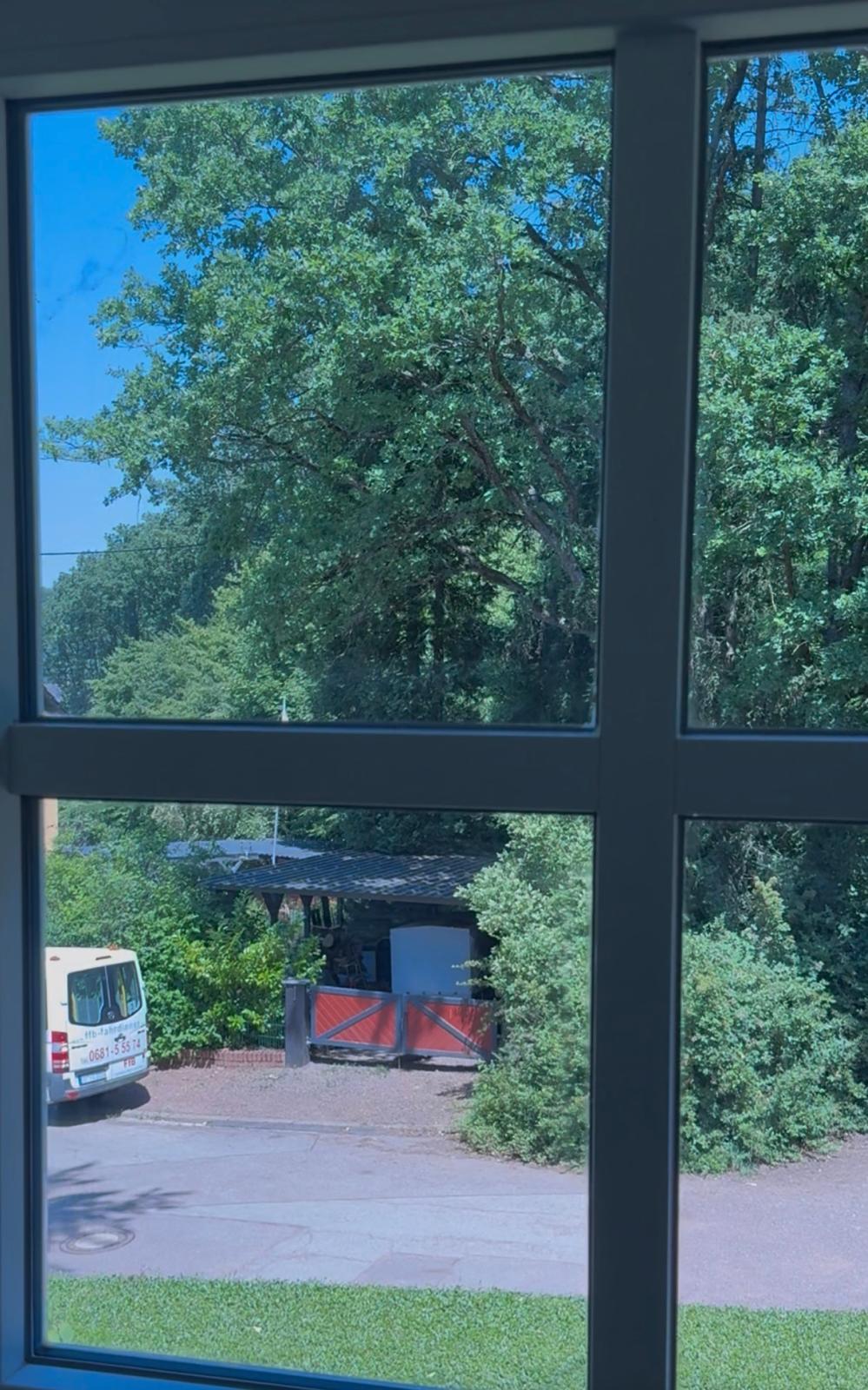 Fensterreinigung Völklingen – Streifenfrei & Professionell – Bild 1